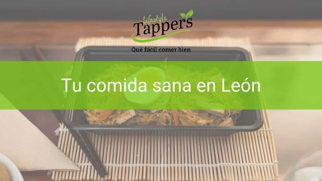 Tuppers a a domicilio en León - Comida casera a domicilio en León